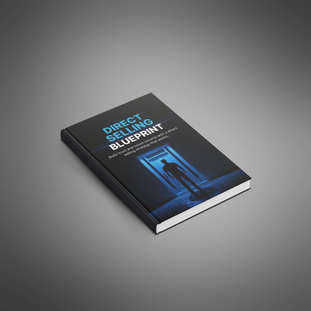 Ad Funnel + 🚀 Direct Selling Blueprint Combo: Master Customer Conversions & Business Launch in 90 Days - Image 2