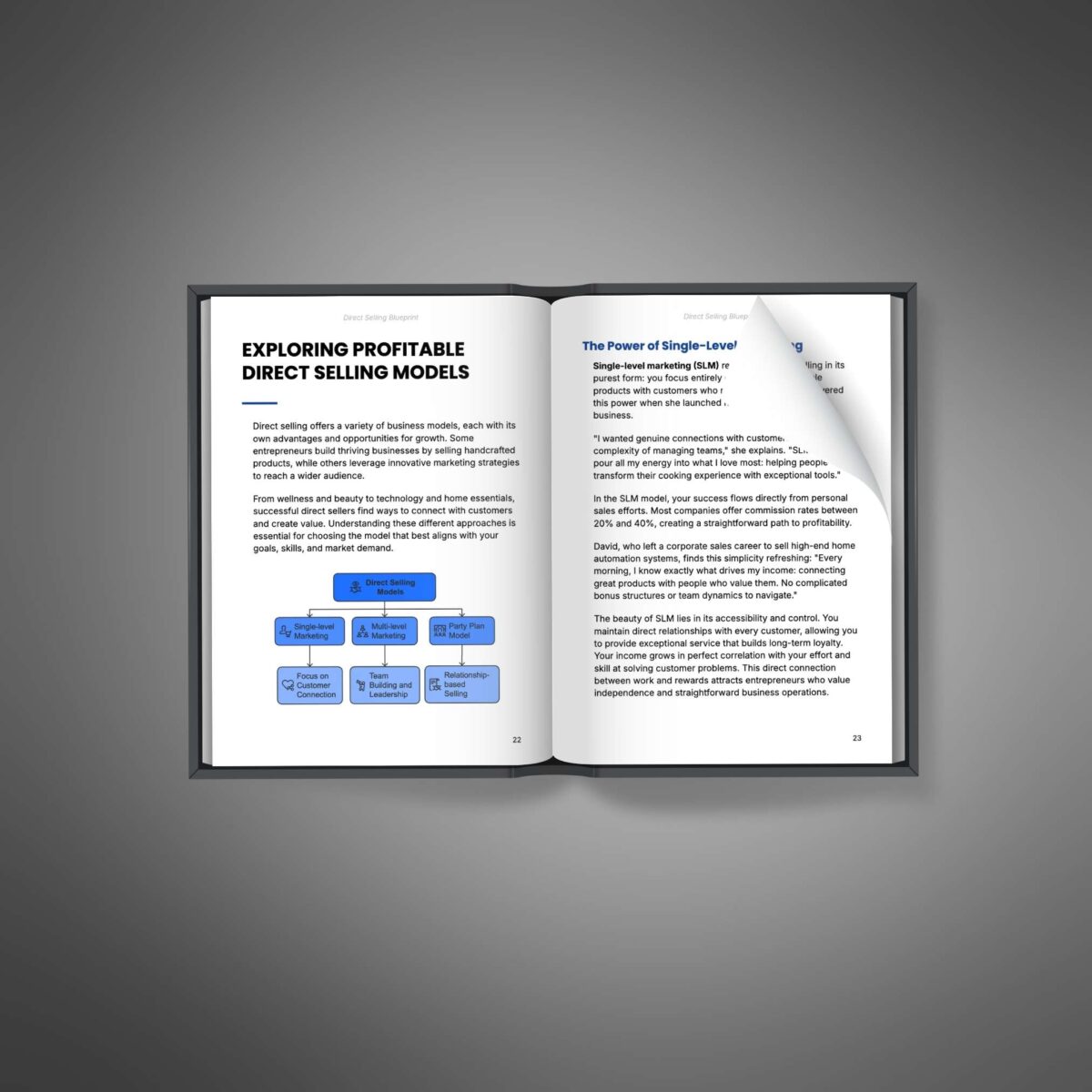 Ad Funnel + 🚀 Direct Selling Blueprint Combo: Master Customer Conversions & Business Launch in 90 Days - Image 3