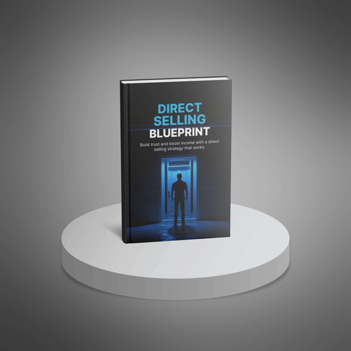 Ad Funnel + 🚀 Direct Selling Blueprint Combo: Master Customer Conversions & Business Launch in 90 Days - Image 4