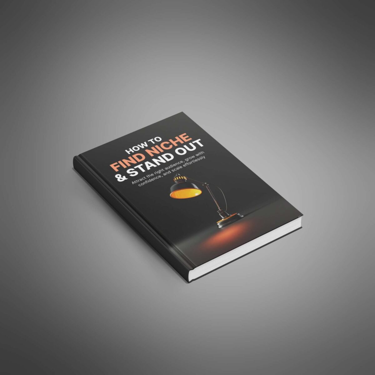 How to Find Your Niche and Stand Out: The Ultimate Strategy Playbook for Experts, Creators & Entrepreneurs - Image 2