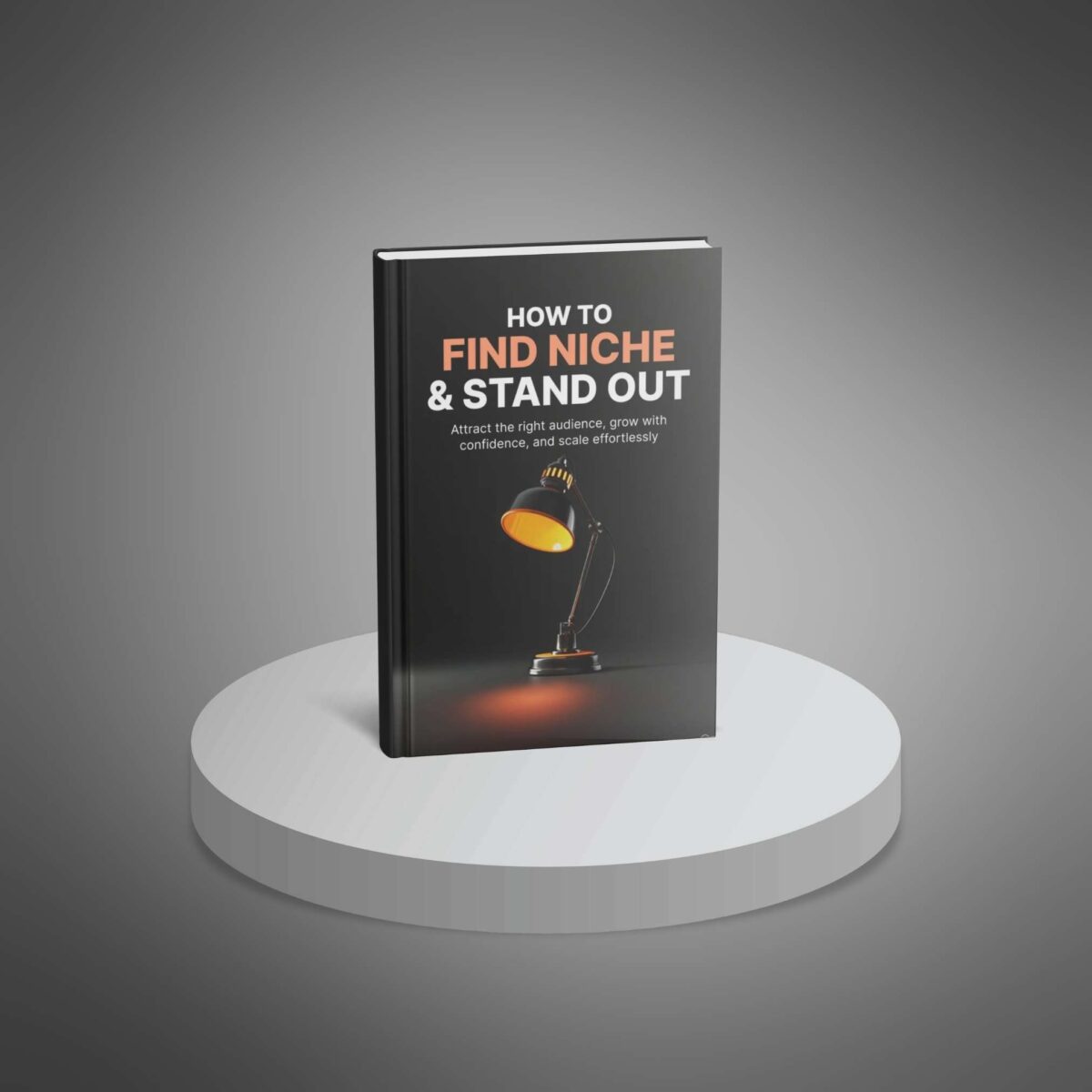 How to Find Your Niche and Stand Out: The Ultimate Strategy Playbook for Experts, Creators & Entrepreneurs - Image 4