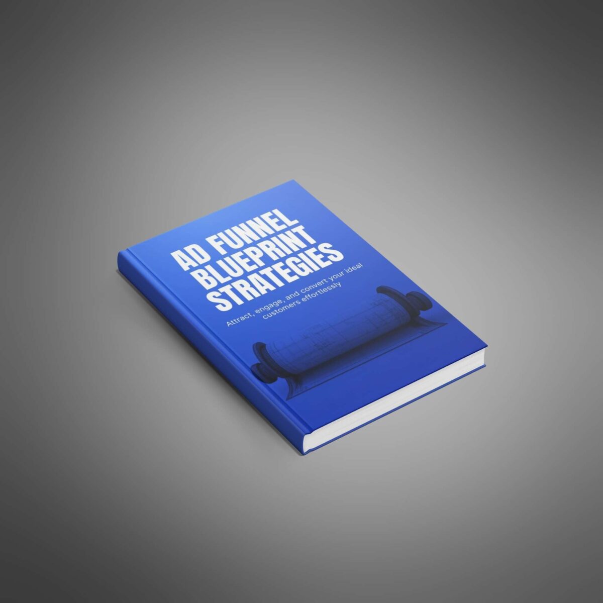 Ad Funnel + 🚀 Direct Selling Blueprint Combo: Master Customer Conversions & Business Launch in 90 Days - Image 6