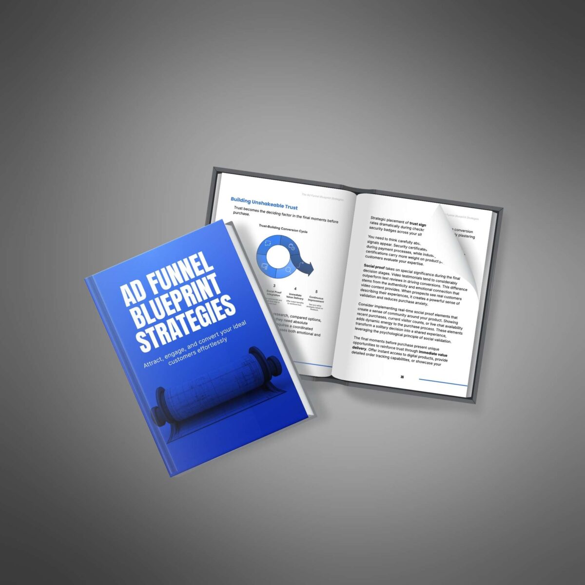 Ad Funnel + 🚀 Direct Selling Blueprint Combo: Master Customer Conversions & Business Launch in 90 Days - Image 9